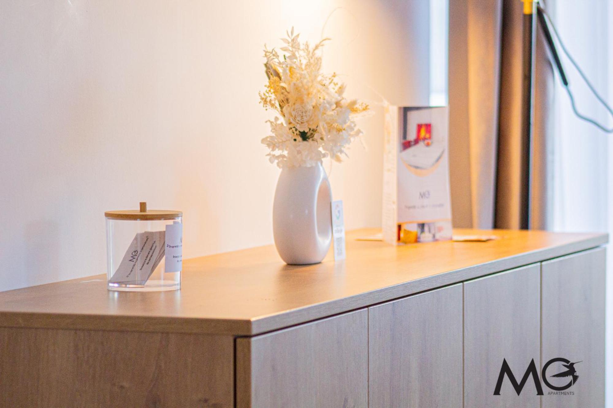 Apartment Mohost Alexa - Mountain View Brasov